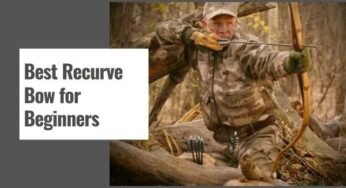 10 Best Recurve Bow for Beginners in 2025