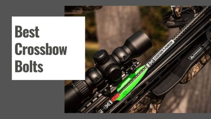 Best Crossbow Broadheads for Deer Hunting in 2025