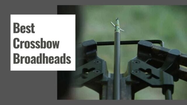 The 10 Best Crossbow Scope in 2025