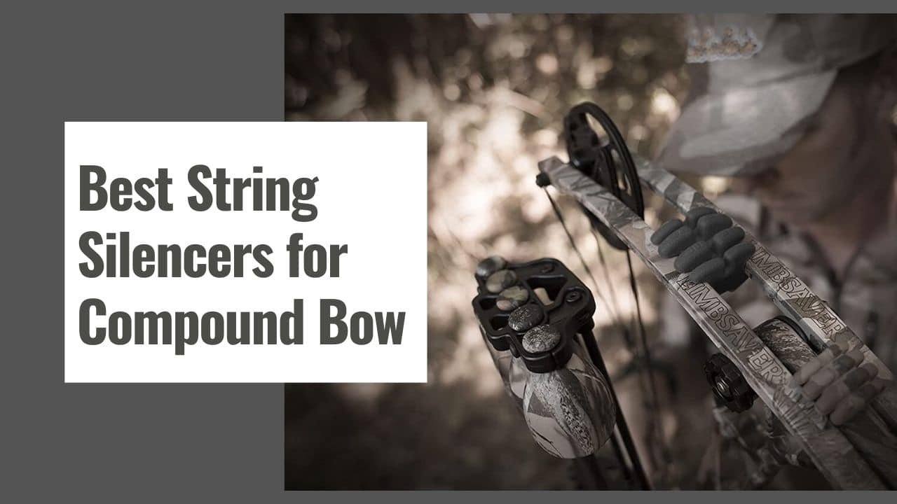 Best String Silencers for Compound Bow in 2025