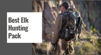 The 10 Best Elk Hunting Pack in 2025