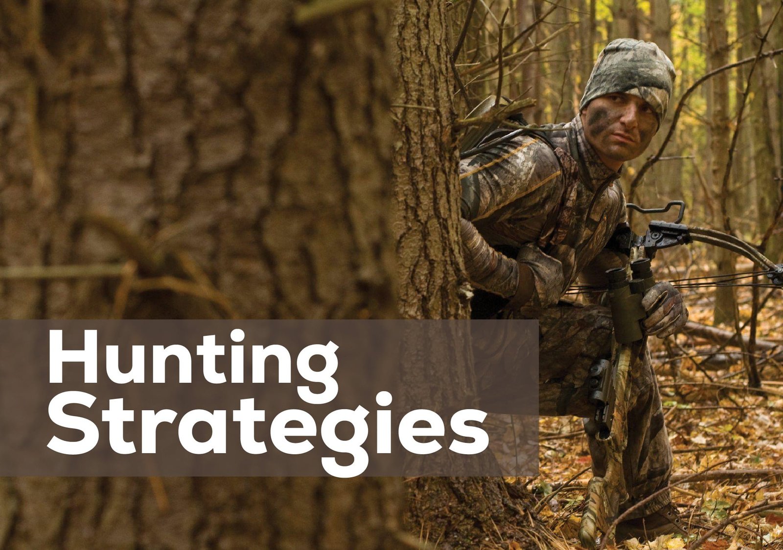 Bows for Hunting: A Comprehensive Guide to Choosing the Right Weapon