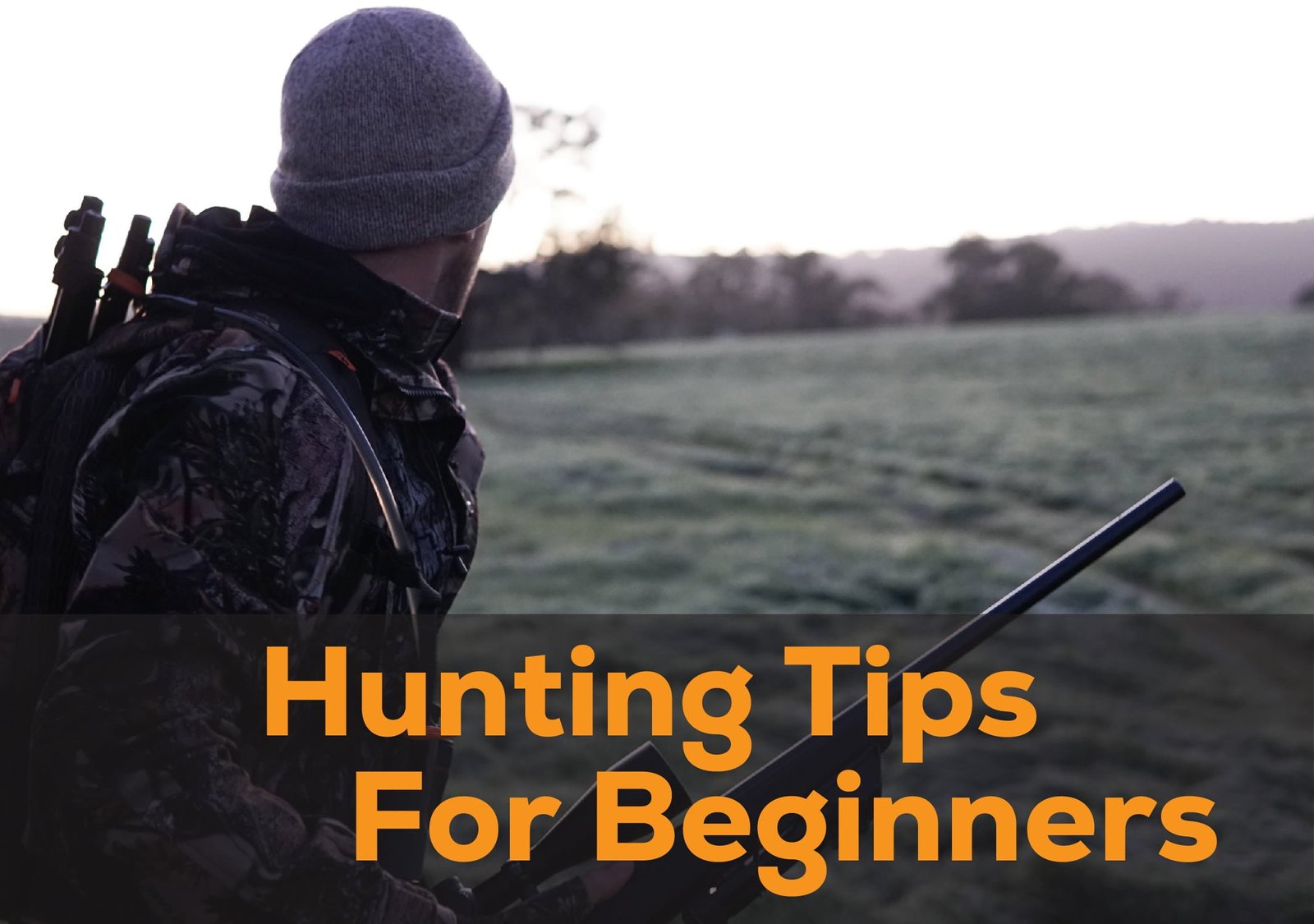 Wolf Hunting Tactics: Strategies and Tips for a Successful Hunt
