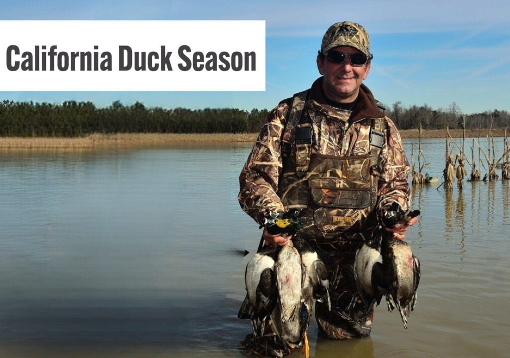 California Duck Season